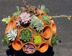 DIY clay pot succulent sphere