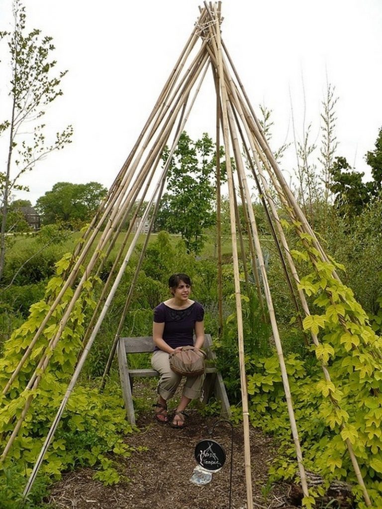 Living Willow Structures