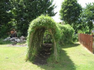 9 Natural Living Willow Structures Ideas