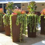 DIY Tall Planters for $20 | The garden!