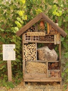 Affordable Bug Hotel: Improve Your Garden in 10 Steps