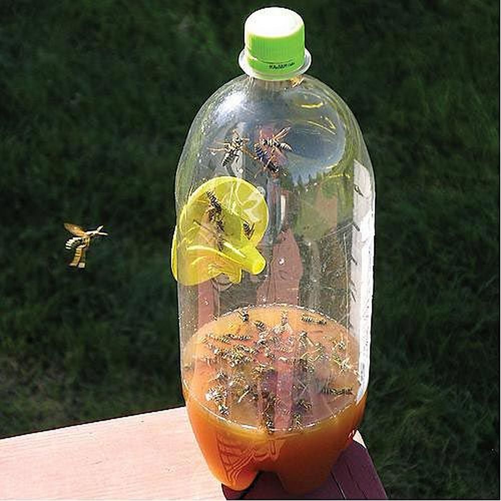 Yellow Jacket Bottle Trap: Safety in 7 Steps