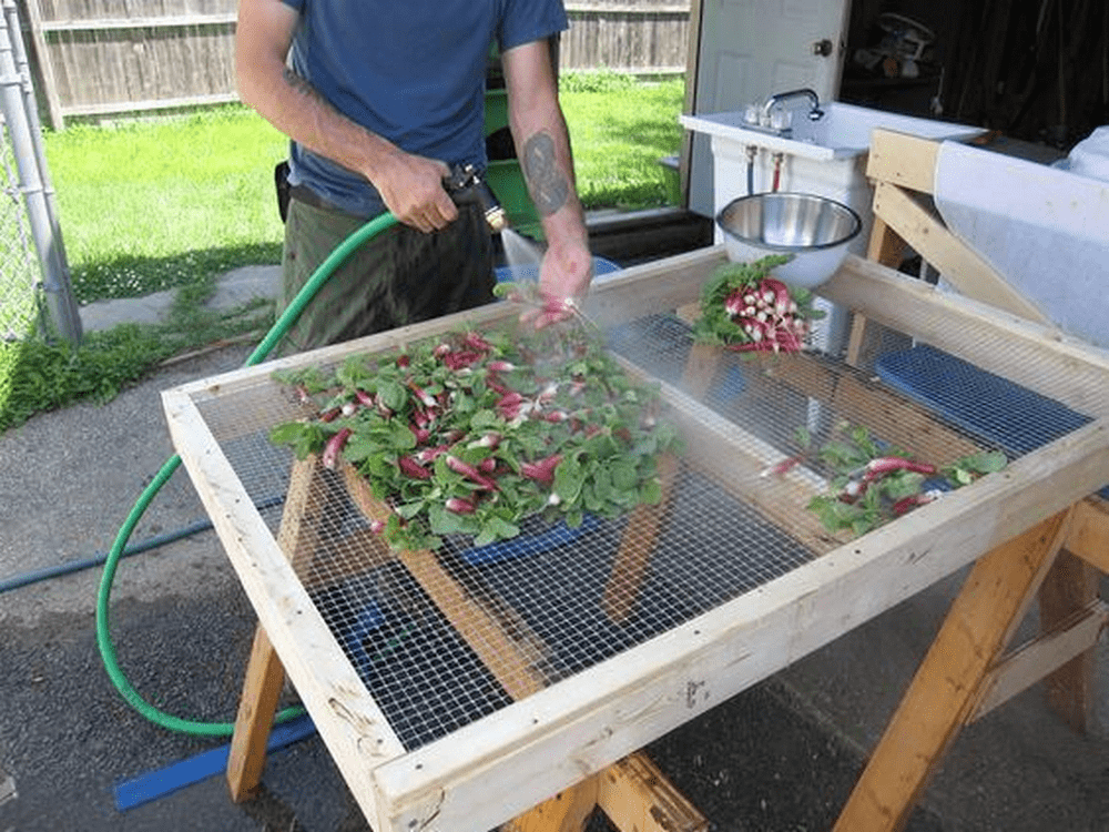 DIY Veggie Washing Station | The garden!