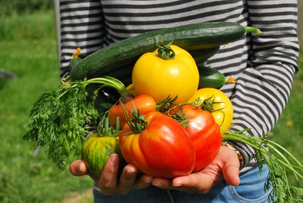 Thinking of starting your own vegetable garden? Do it!