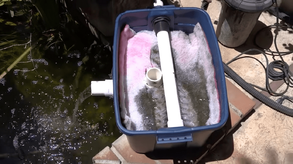 The Ultimate DIY Fish Pond Filter Top 5 Essentials The Garden 