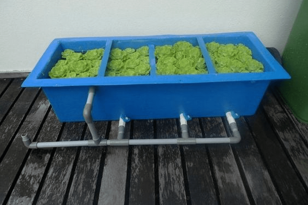 The Ultimate DIY Fish Pond Filter Top 5 Essentials