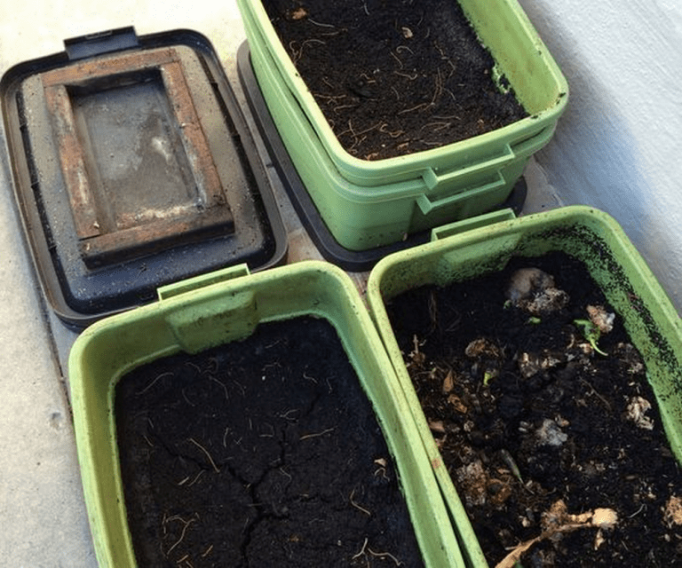 DIY Worm Composting Bin - The garden!