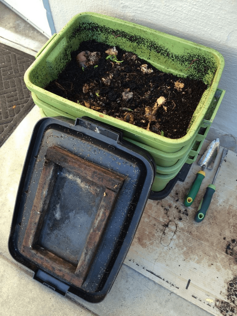 DIY Worm Composting Bin – The garden!