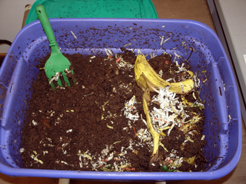 diy worm composting bin – the garden!