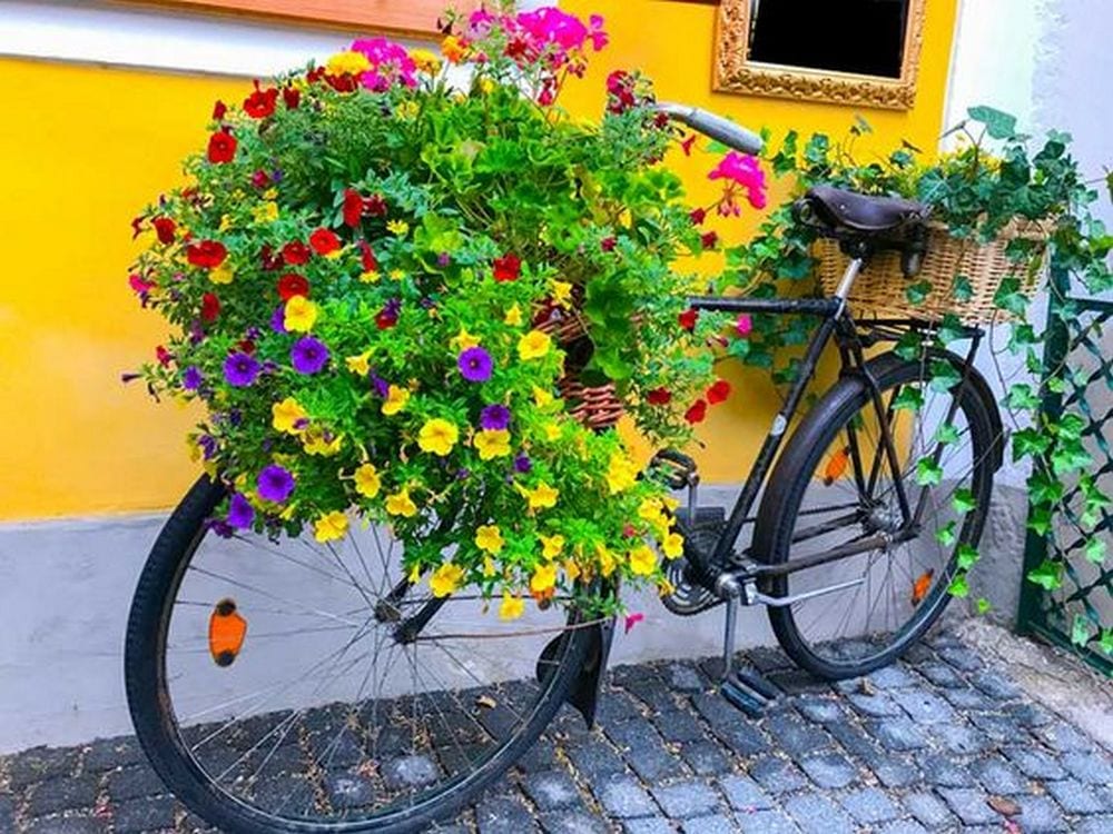 How To Make Beautiful DIY Bicycle Garden (22 Ideas) | Housetodecor.com