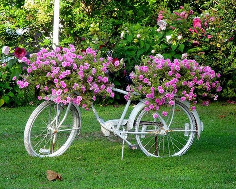 571 Vintage Bicycle Ornamental Garden Images, Stock Photos & Vectors |  Shutterstock