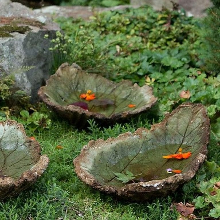 Leafy Oasis: Make a Concrete Leaf Shaped Bird Bath for These 5 ...