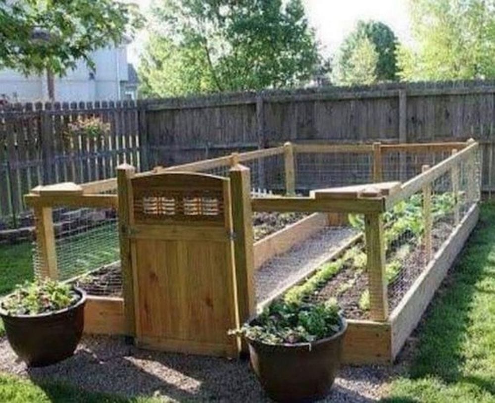 DIY Raised and Enclosed Garden Bed - The garden!