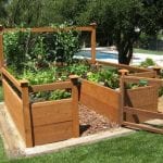 DIY Raised and Enclosed Garden Bed | The garden!