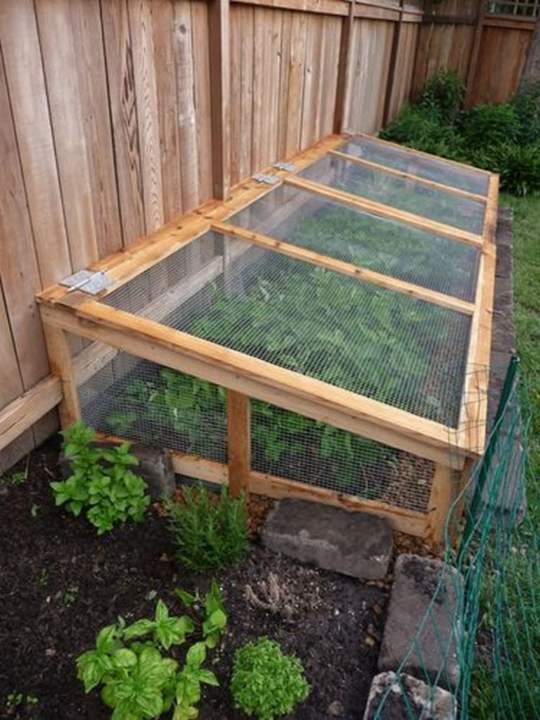 Make your Own Raised Garden Bed with Screen | The garden!