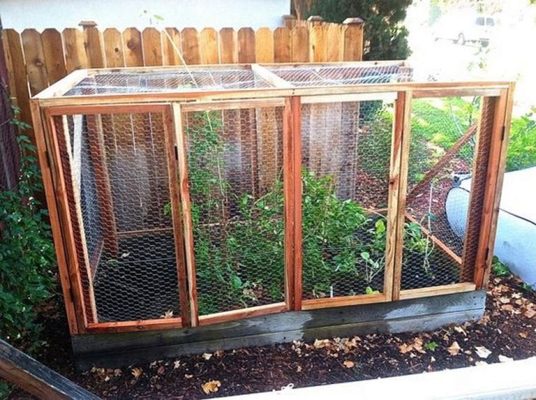 8 Effortless Steps to Your Raised Garden Bed With Screen – The garden!