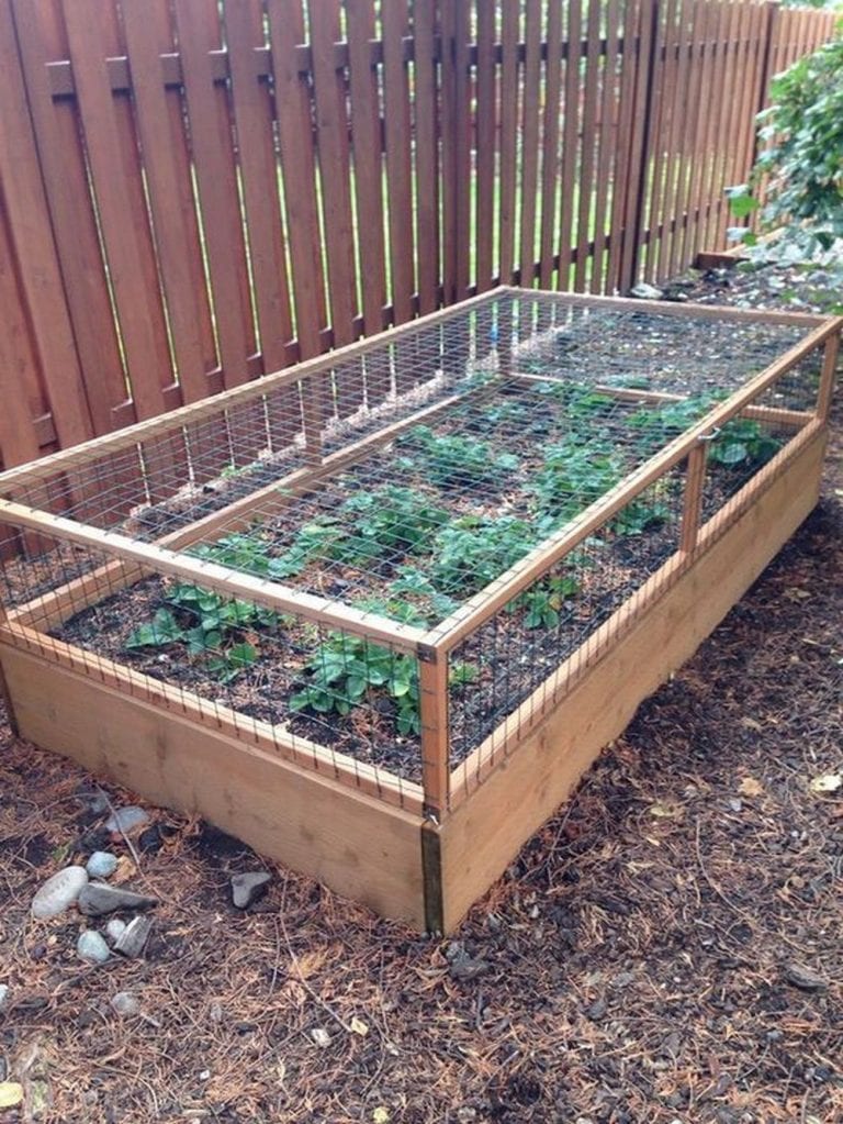 8 Effortless Steps To Your Raised Garden Bed With Screen The Garden