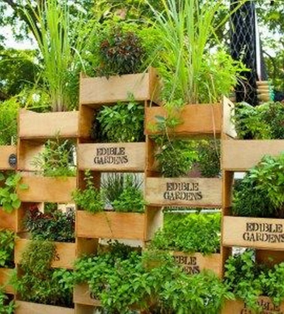 Vertical Gardens: Harnessing Nature's Great Power