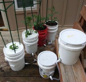 Convenient Self-Watering Planter in 9 Steps