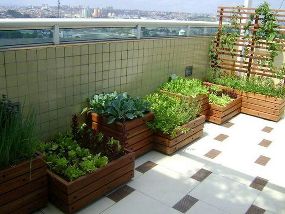 View Vegetable Garden On Balcony PNG