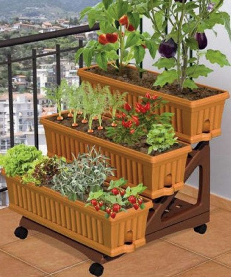 How To Grow A Balcony Vegetable Garden 