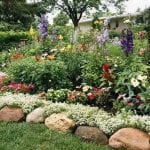 Clever Garden Bed Edging Ideas | The garden!