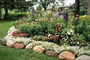 Clever Garden Bed Edging Ideas - The garden!