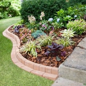 Clever Garden Bed Edging Ideas - The garden!