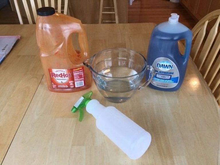 Homemade Natural Bug Insecticide for Garden in 7 Steps