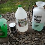 DIY Natural Weed Killer – The garden!