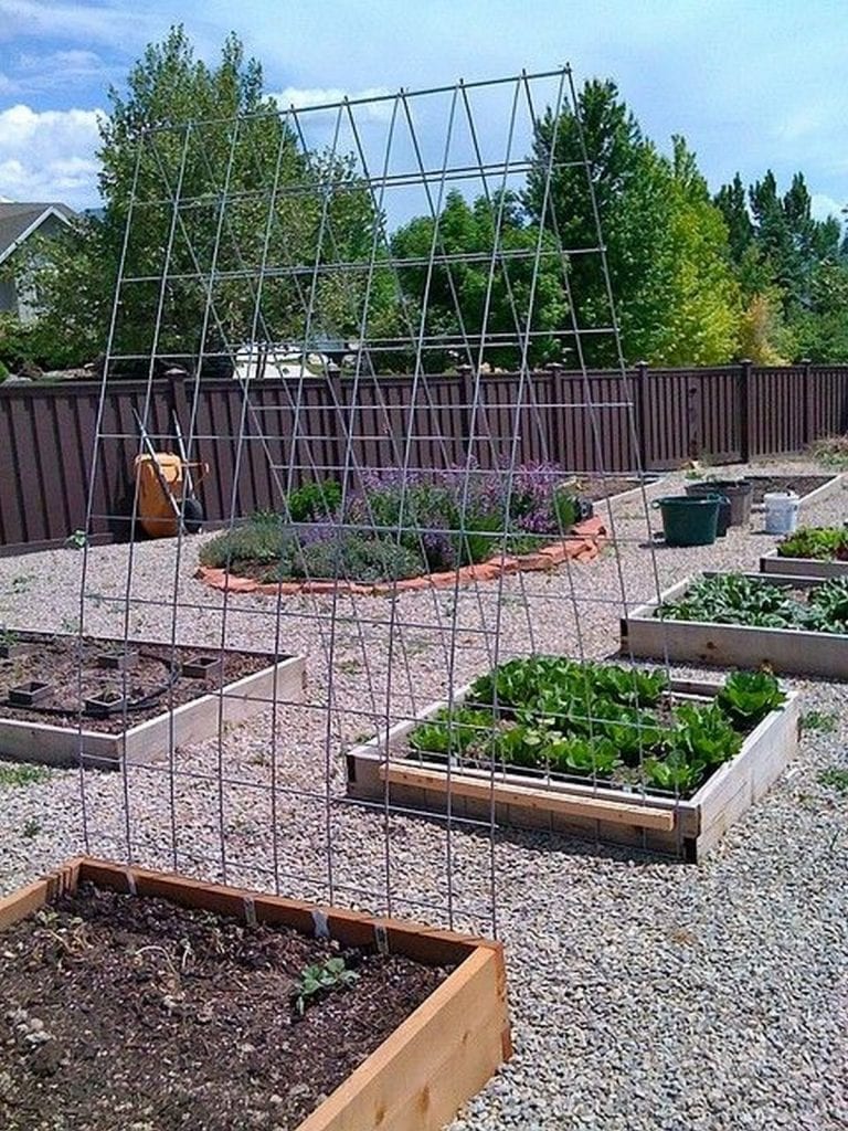 Imagine what these trellises will look like once plants have started climbing on them!