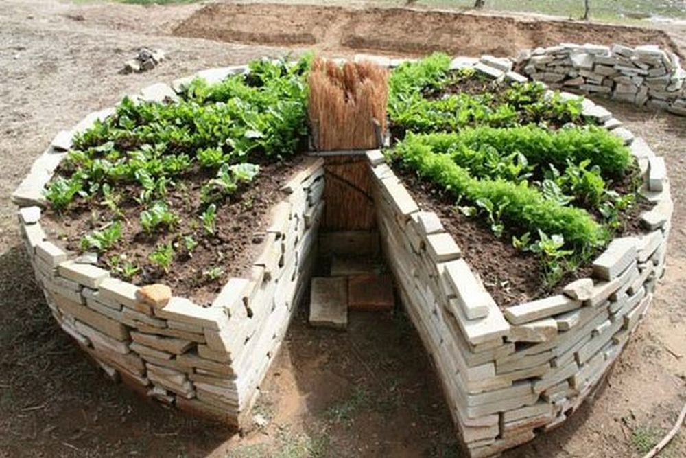 This is a great way to save garden space if you have a small area to work on.
