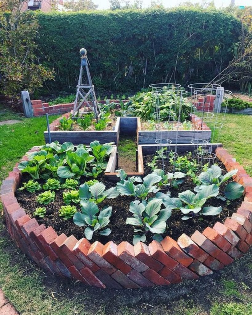 How to Build a Keyhole Garden - The garden!