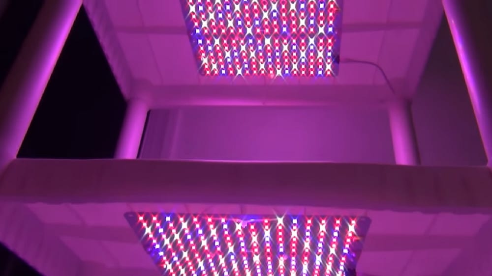 This DIY grow light shelving system is less expensive than those that were commercially set up.