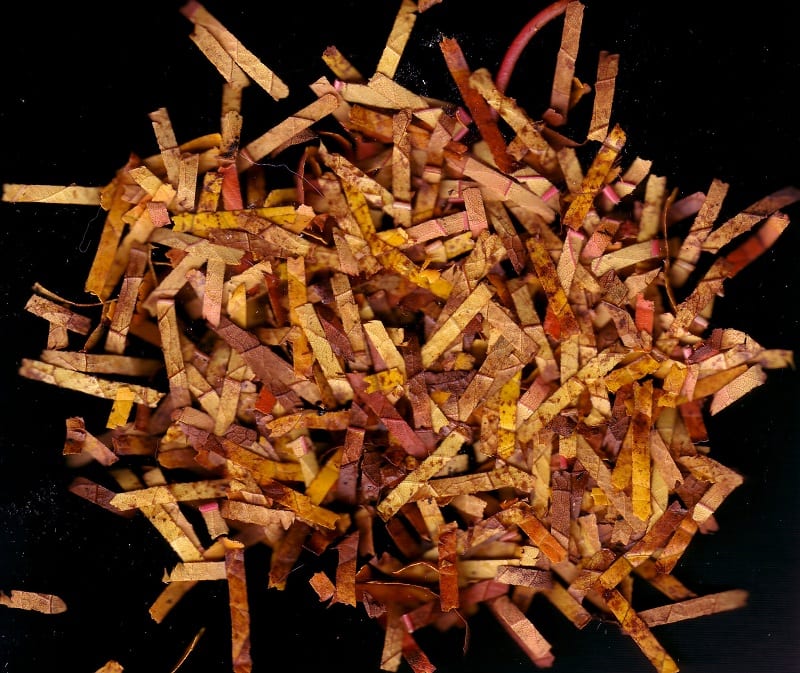 Shredded leaves are excellent for composting. 