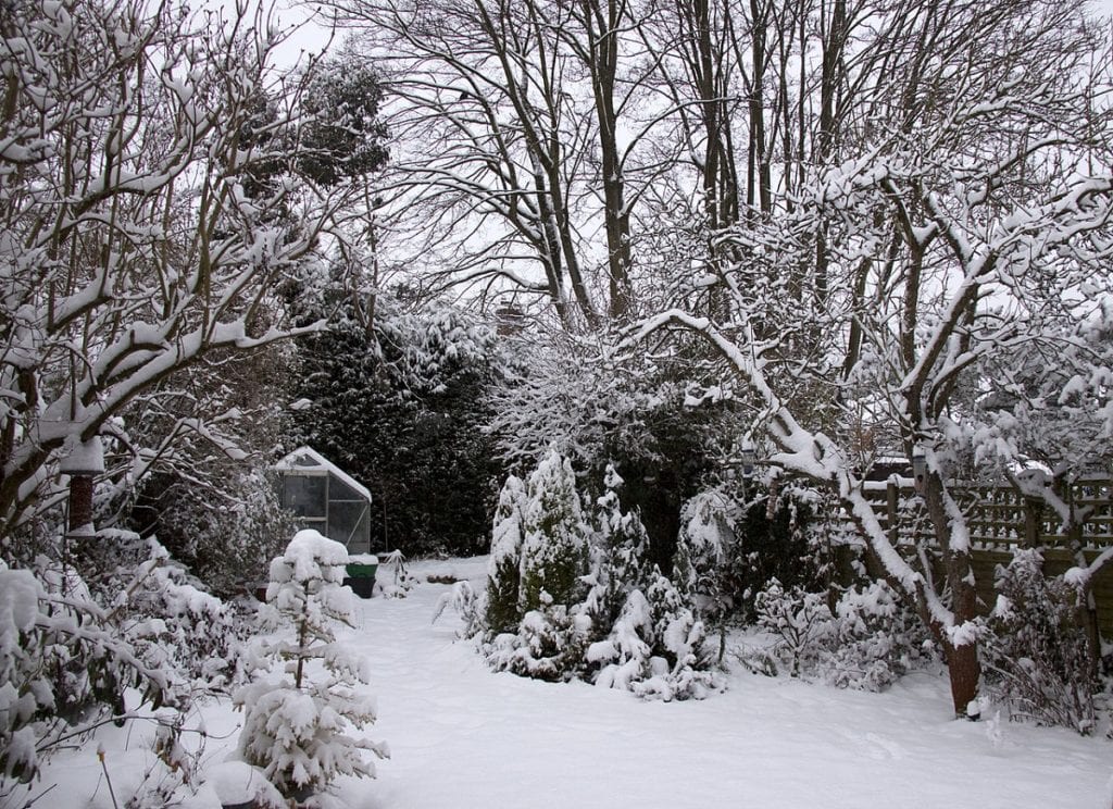 Snow is an important part of a healthy garden in cold winter areas. 
