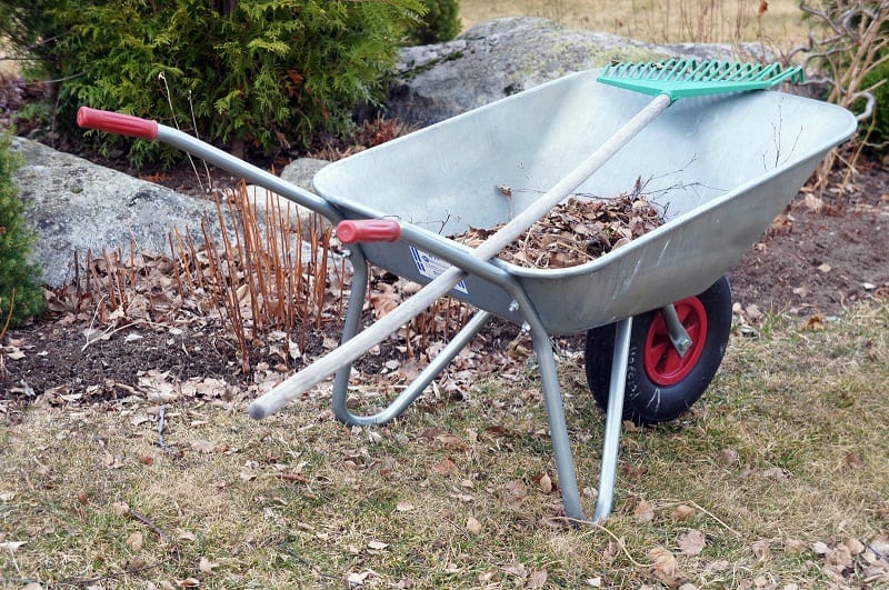 Start tidying up. Remove those leaves and other debris from flower beds and borders. 