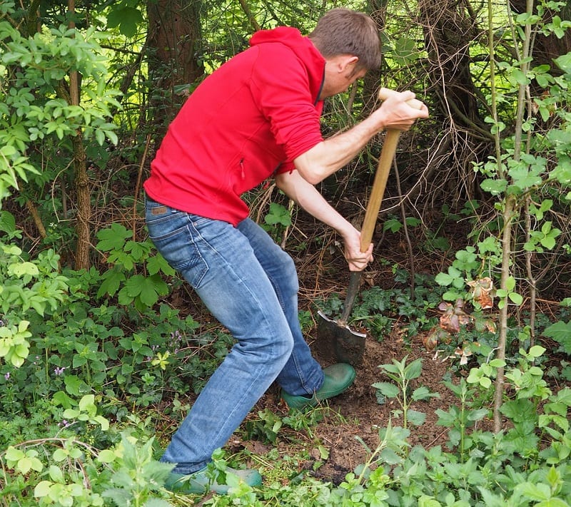 The first job is to cut brush and unwanted plants back to the fence line. 