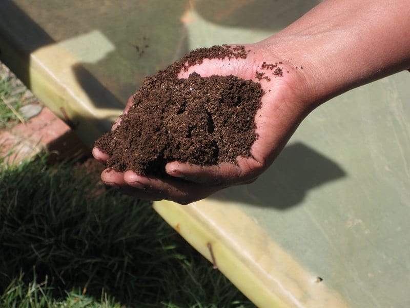 The best mulch is made from well-rotted, organic matter like compost. 