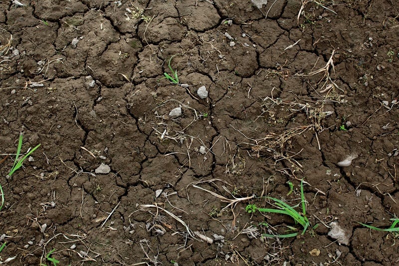 Spent soil will produce successively lower, frailer crop yields.