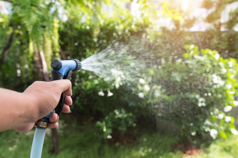 A garden hose will make watering large lawns easier.