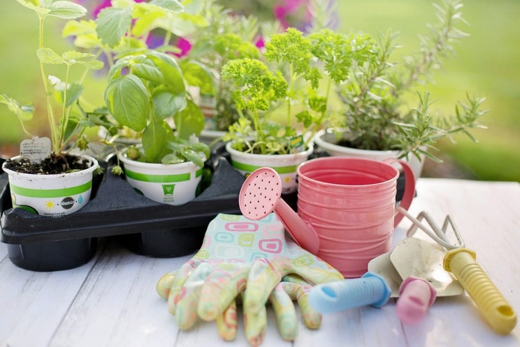 Beginnger's Guide to Gardening Tools
