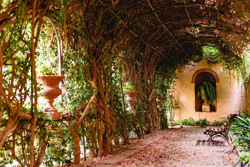 If you have space, a pergola draped with climbing plants would be an excellent touch. 