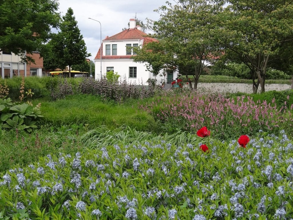 Piet Oudulf's Garden Design Style