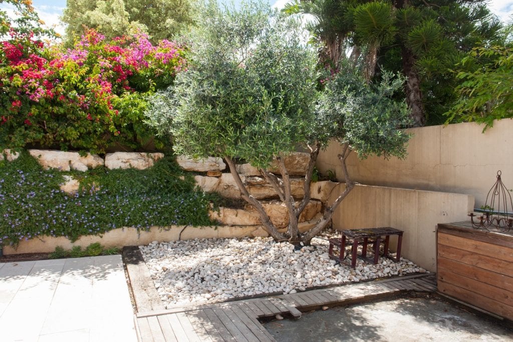 Designing a Mediterranean-Style Backyard