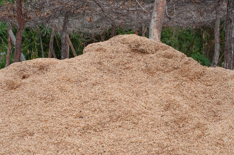 In Southeast Asia, in fact, many gardeners use rice hulls instead of peat, perlite, and vermiculite for their potting mixes. 