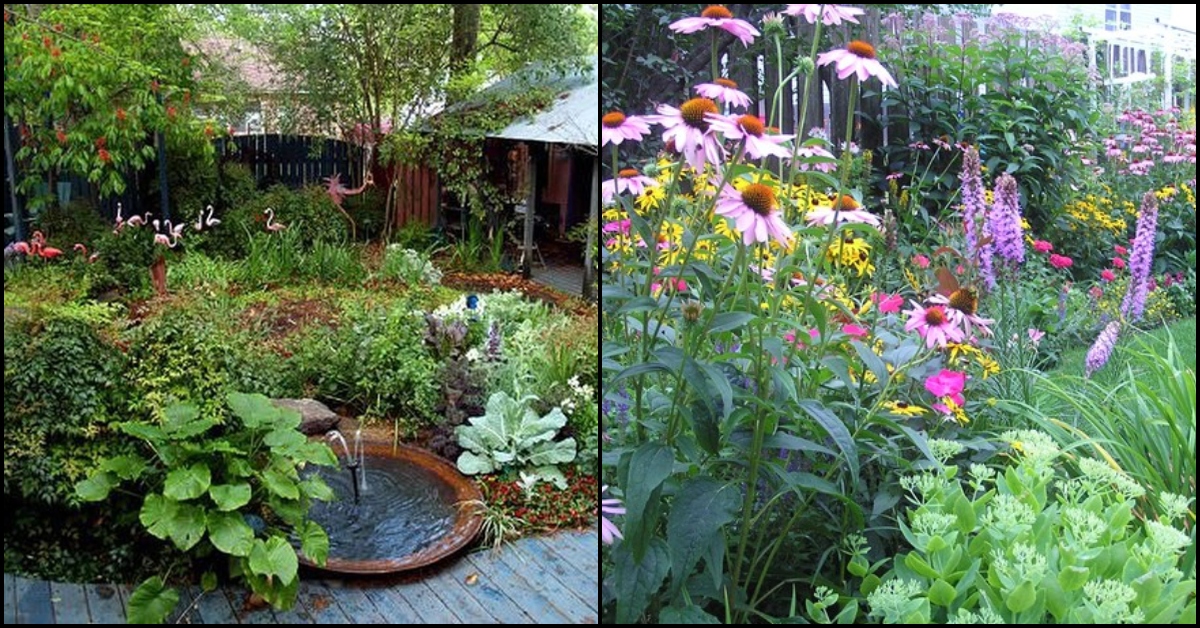 Slow Gardening: Learn a Rock n’ Roll Approach to Green Living – The garden!