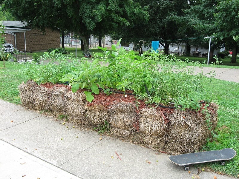 If the sunniest spot in your home is along your driveway, you can situate your temporary garden there.