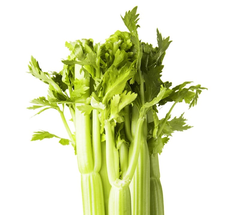 Celery needs water to grow straight, sweet, and tall. 