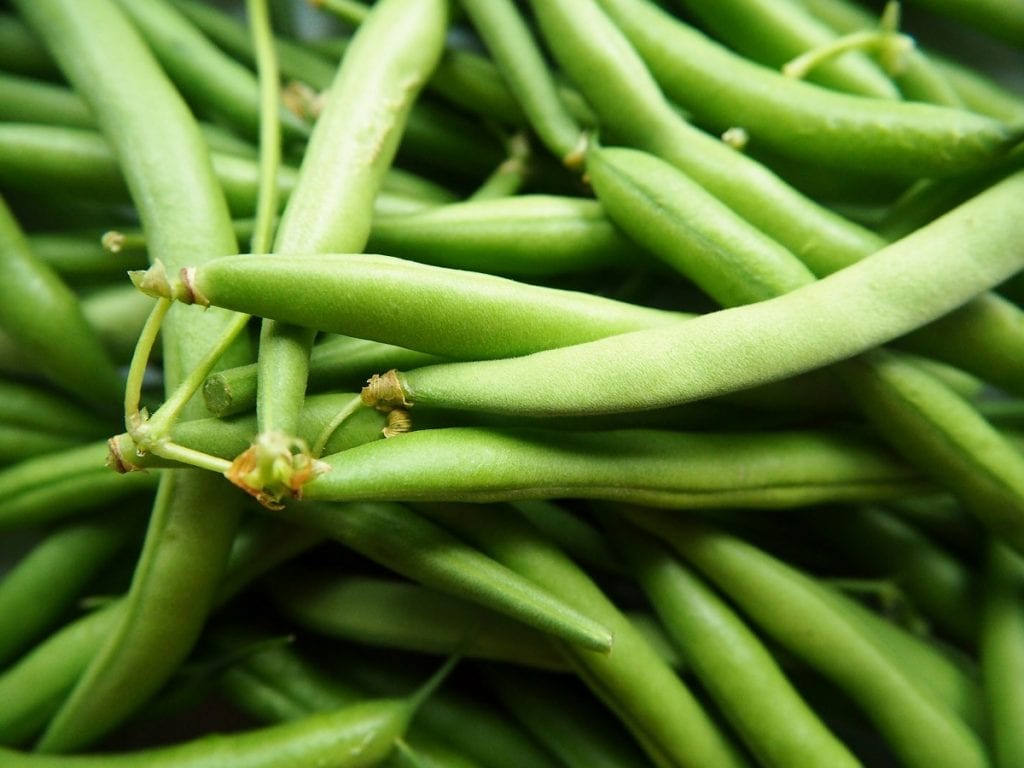How to Grow Green Beans